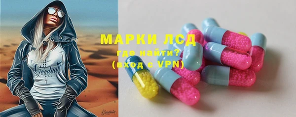 PSILOCYBIN Каменка