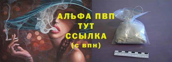 индика Туринск