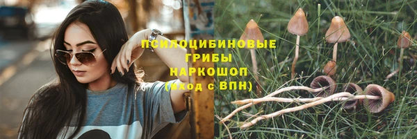 прущая мука Инсар