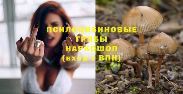 прущая мука Инсар