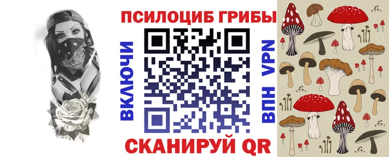 Купить где  Новохопёрск  Псилоцибиновые грибы ЛСД 